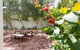 Soloman Street Cottage - thumb 1