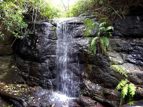 Riverbend Byron Hinterland Retreat - Accommodation QLD 2