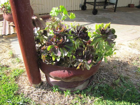 Ocean View Retreat - Accommodation QLD 4