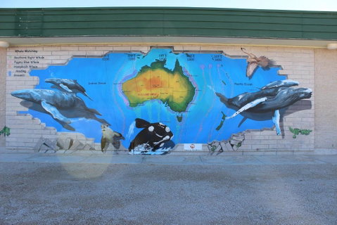 Nullarbor Roadhouse - Accommodation QLD 4