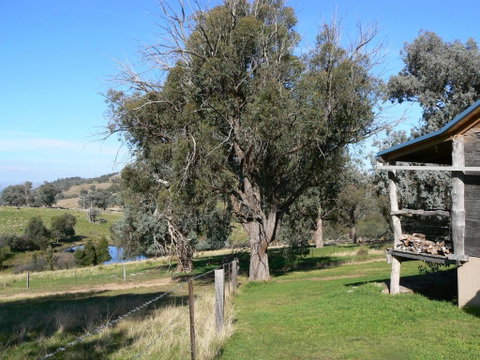 Gaddleen Grove Cottages - Accommodation QLD 6