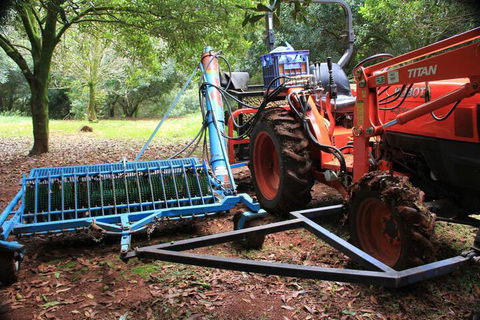 Terania Creek Farmstay - Accommodation QLD 4