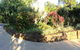 Terania Creek Farmstay - thumb 3