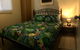 Terania Creek Farmstay - thumb 0