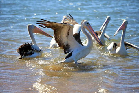 Alva Beach Tourist Park - Accommodation QLD 4