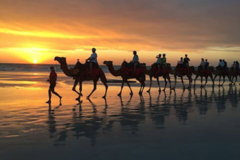 Beach House On Fox - Accommodation QLD 0