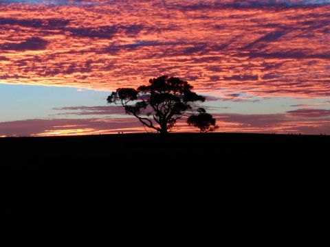 Heartland Hideaway - Accommodation QLD 3
