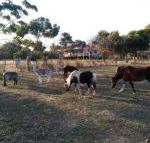 Heartland Hideaway - Accommodation QLD