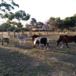 Heartland Hideaway - Accommodation QLD 0