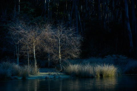 Naivasha Cottage - Accommodation QLD 3