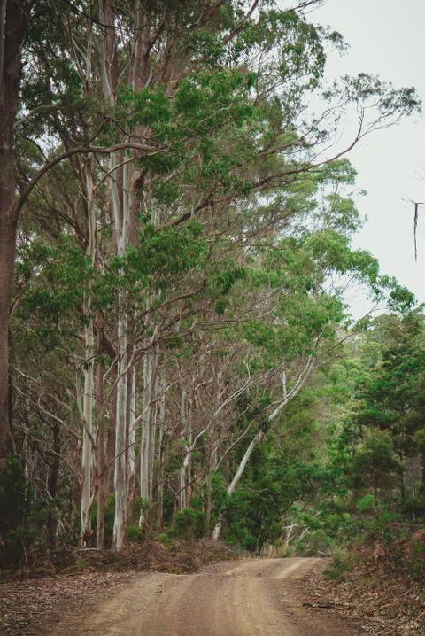 Naivasha Cottage - Accommodation QLD 2