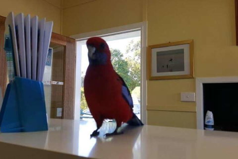 Lake Conjola Waterfront Holiday Park - Accommodation QLD 5