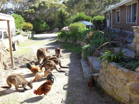 Anchorage Apartments - Accommodation QLD 4