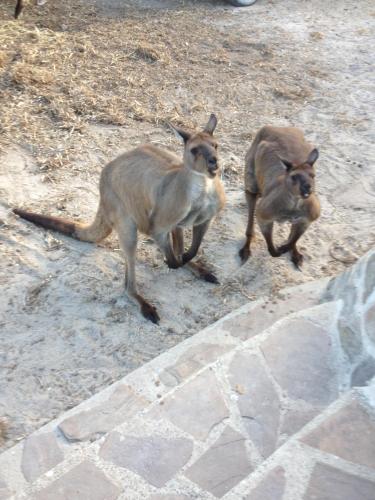 Anchorage Apartments - Accommodation QLD 3