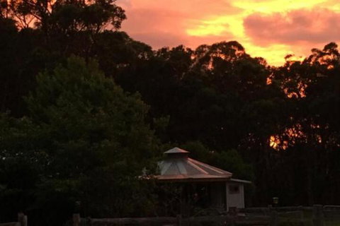 Ionaforest Yurt & Shepherds Hut - Accommodation QLD 4