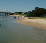 Black Dolphin Waterfront Apartment - Accommodation QLD