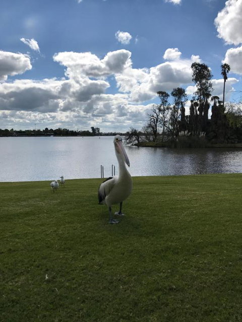 Waterside Holiday Rentals Unit 31 - Accommodation QLD 2