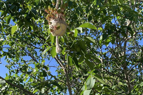 Sweet Dreams Retreat At Lara - Accommodation QLD 7