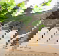 BOUTIQUE STAYS - Maple on Kent - Accommodation QLD