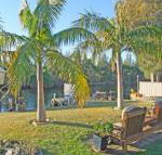 The Oasis on Jacobs Drive - Accommodation QLD