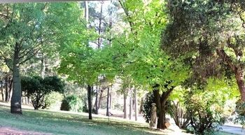 Eemnes Park Estate - Accommodation QLD 6