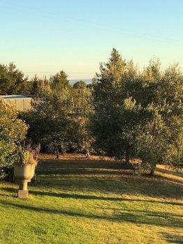 Eemnes Park Estate - Accommodation QLD 4