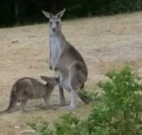 Jarrah Lodge - Accommodation QLD