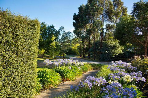 Alvie - Accommodation QLD 4