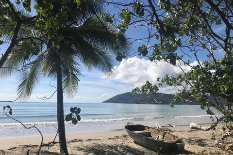 Daintree Rainforest Beach House - Accommodation QLD 4