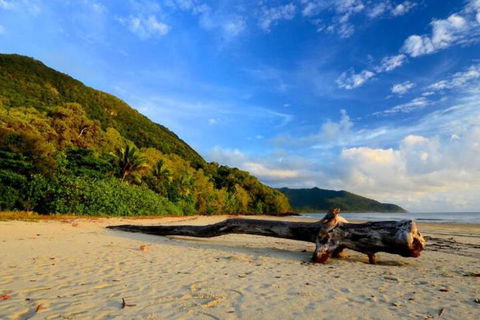 Daintree Rainforest Beach House - Accommodation QLD 7