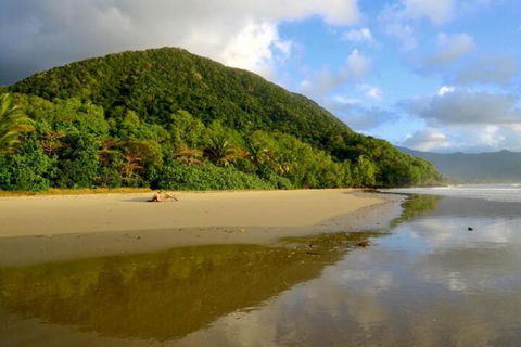 Daintree Rainforest Beach House - Accommodation QLD 5