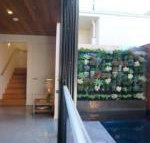 Stella on Stevens - Accommodation QLD