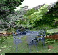 Nautique Beach House - Accommodation QLD