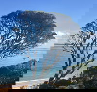 Cowes on the Bay - Accommodation QLD