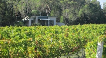 Just Red Wines Vineyard Cabins - Accommodation QLD 3