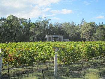 Just Red Wines Vineyard Cabins - Accommodation QLD 5