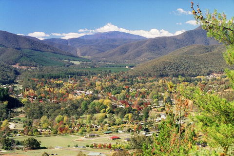 Discovery Parks Bright - Accommodation QLD 1