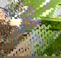 Seaside Hideaway at Clifton Beach - Accommodation QLD