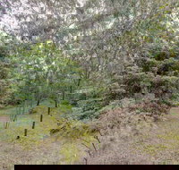 Lightwood - Accommodation QLD