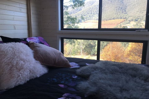 Little Wandana - Accommodation QLD 3