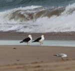 Baillieu Breeze - Accommodation QLD