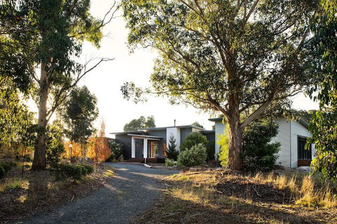 Arya - Accommodation QLD 1
