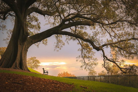 Waterview Terrace In Historic Rocks - Accommodation QLD 1