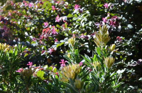 A Bach At Bright Bright VIC - Accommodation QLD 4
