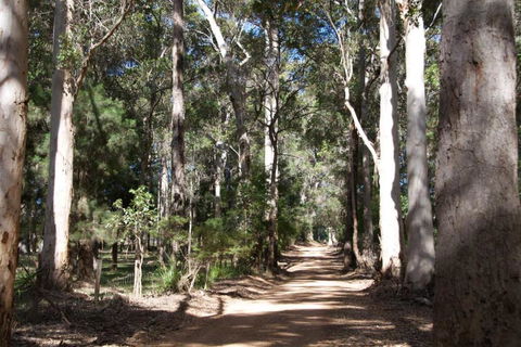 Karrak Reach Forest Retreat - Accommodation QLD 4