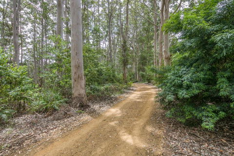 Karrak Reach Forest Retreat - Accommodation QLD 3