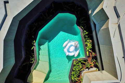 Alkira Award Winning Luxury Holiday Home - Accommodation QLD 6