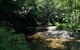Noah Creek Eco Huts - thumb 4