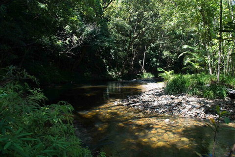 Noah Creek Eco Huts - Accommodation QLD 4