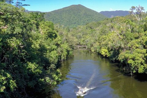 Noah Creek Eco Huts - Accommodation QLD 1